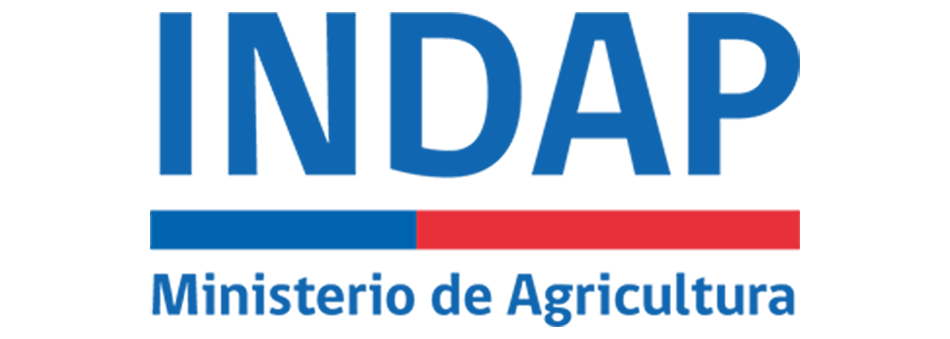 INDAP logo